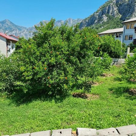Apartments Luka Kotor Ngoại thất bức ảnh