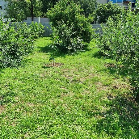 Apartments Luka Kotor Ngoại thất bức ảnh