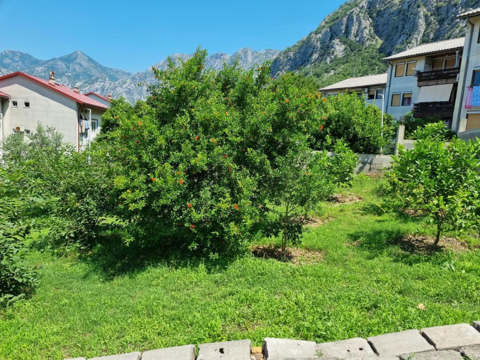 Apartments Luka Kotor Ngoại thất bức ảnh