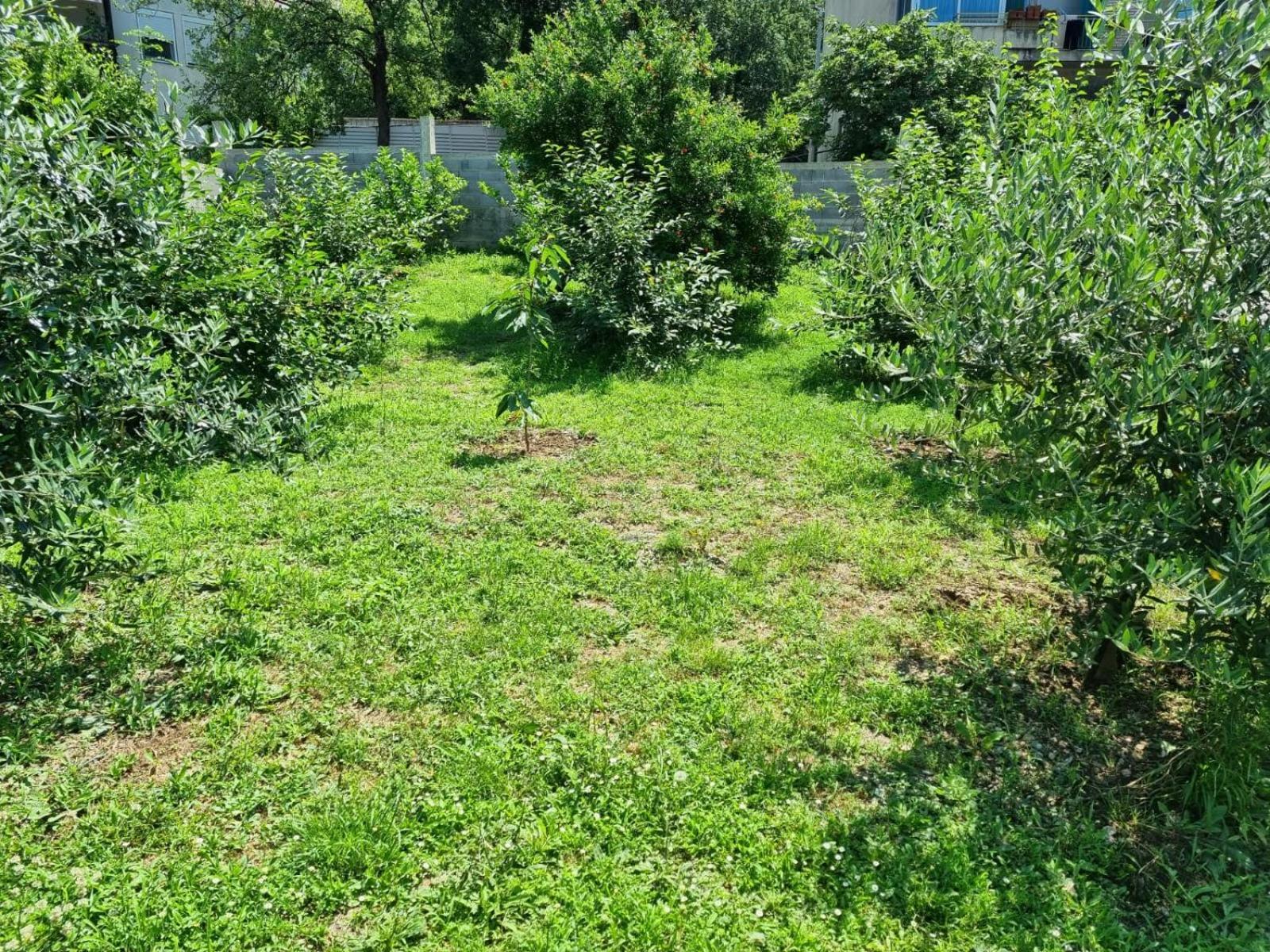 Apartments Luka Kotor Ngoại thất bức ảnh